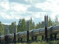 DSC 7382 adj  Alaskan oil pipeline in Fairbanks